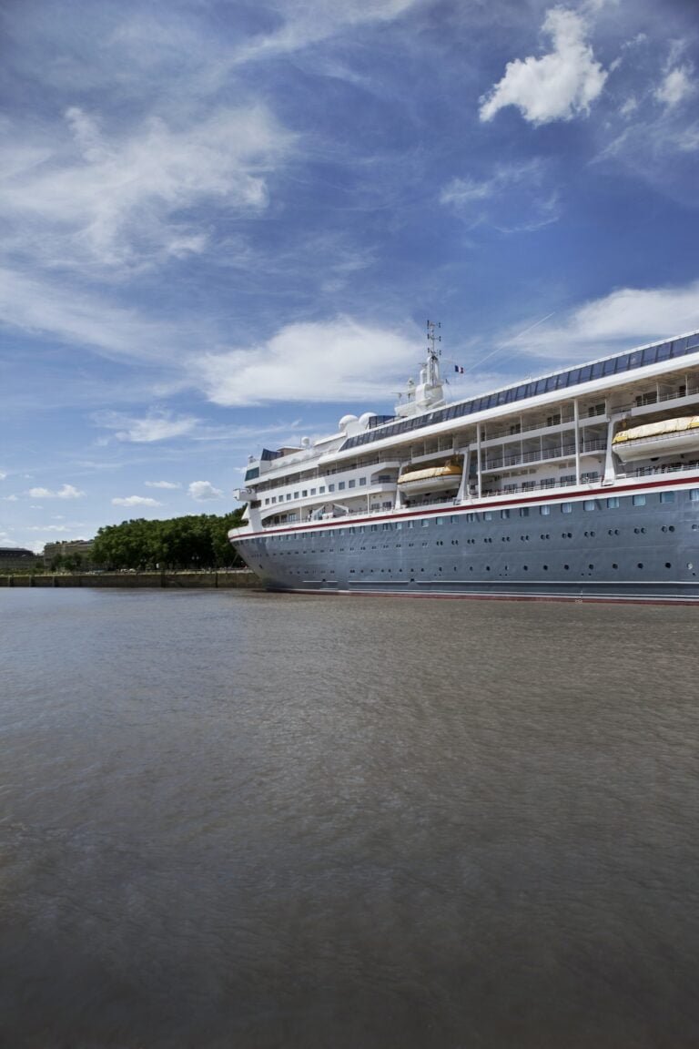 Partir sur un bateau de croisière : Comment et où ?