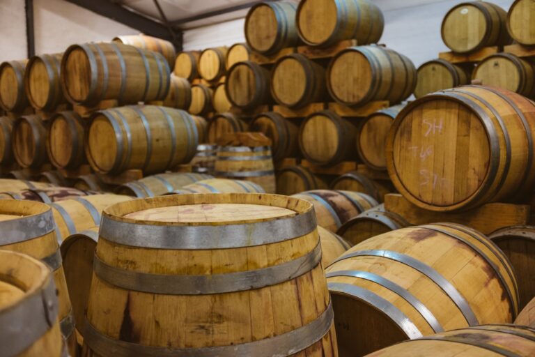- 63 QUELS SONT LES DIFFÉRENTS TYPES DE CAVE À VIN ?