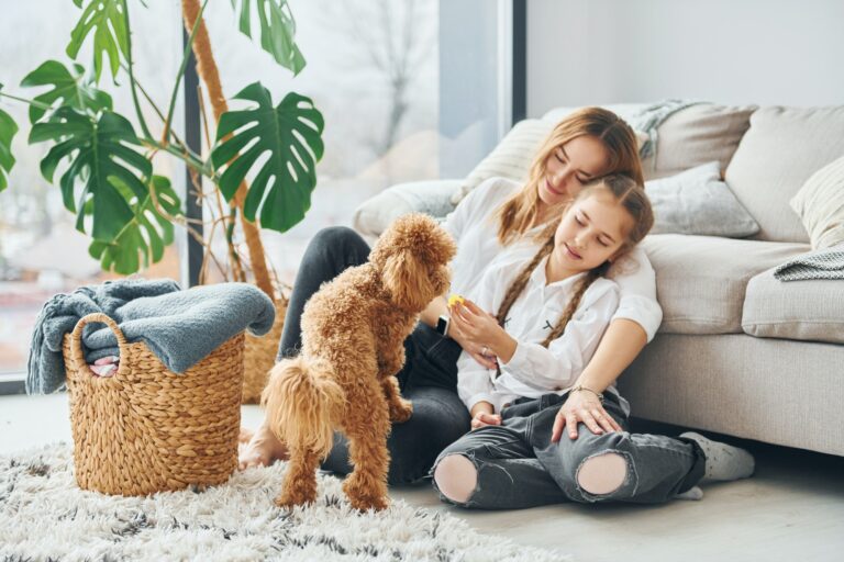 - 34 Quel est le moment idéal pour séparer un chiot de sa mère ?