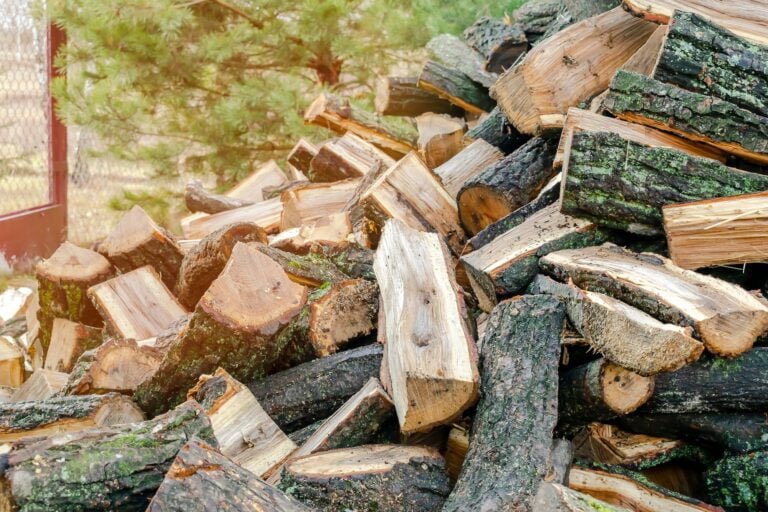 - 22 Construction en bois : Principes et aspects en général