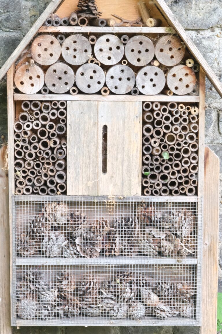 - 21 Insectes de bois : Comment s’en débarrasser ?