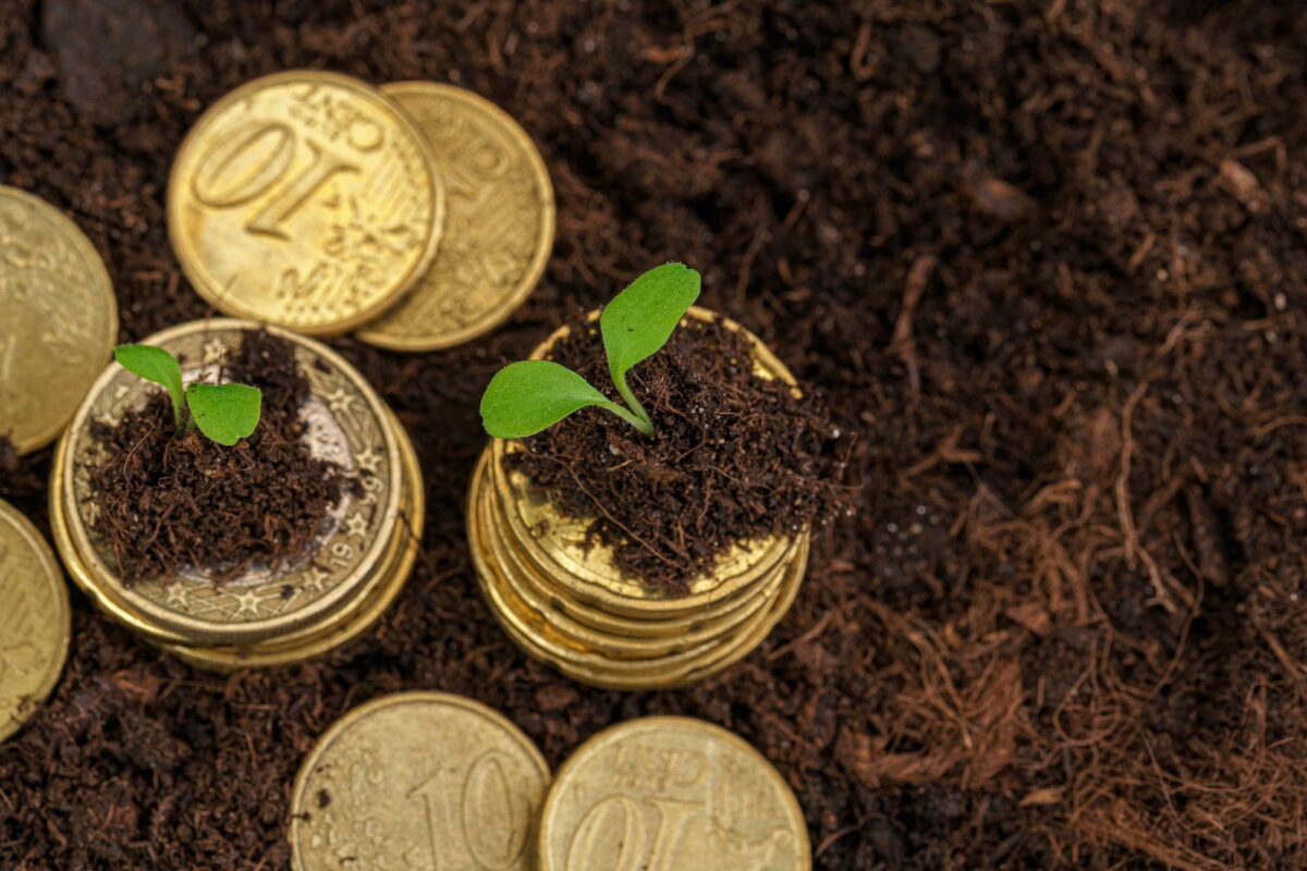Comment faire 1000 euro par jour ?