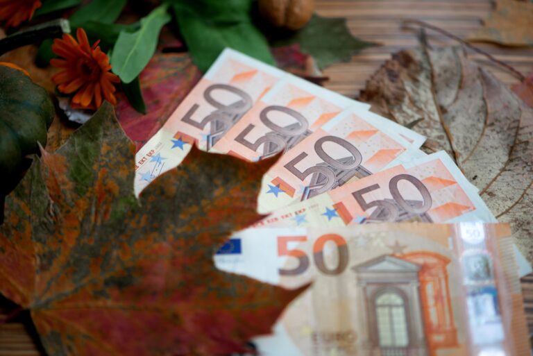 - 63 Comment gagner 20 euros par jour sur le Net ?