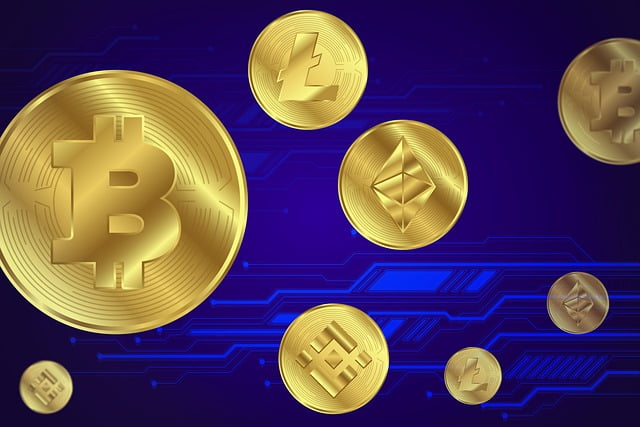 - 2 Les 5 meilleures plateformes pour convertir le Litecoin