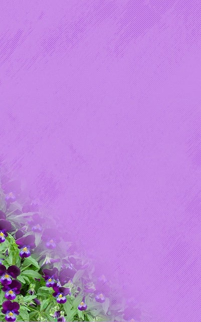 Pourquoi les noms de mes contacts ne s'affichent plus sur mon téléphone Android ?