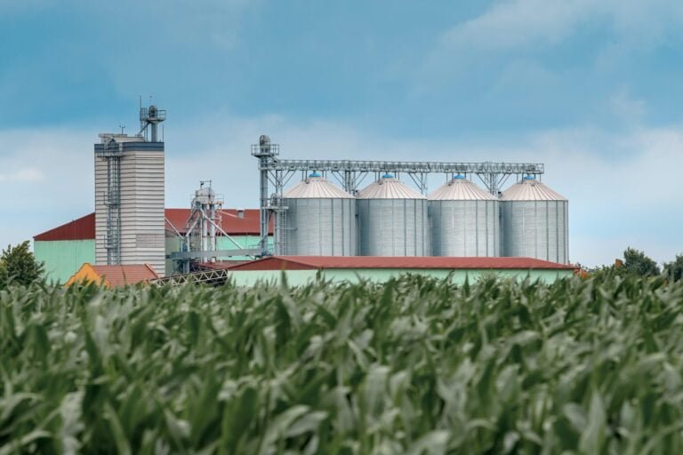 Avez-vous besoin d&rsquo;un espace de stockage pour vos céréales ?