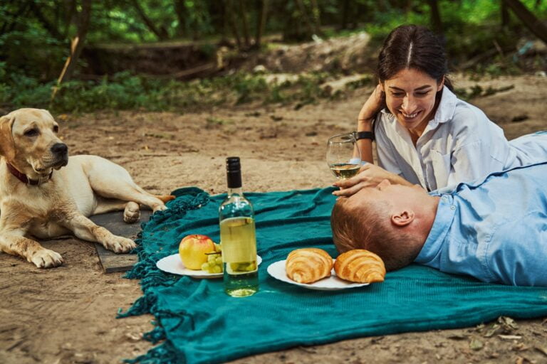 Tindog : une application Android pour les rencontres entre chiens