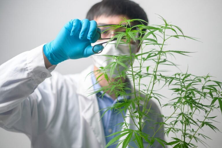 Le CBD et la dépression : une alternative aux traitements classiques ?