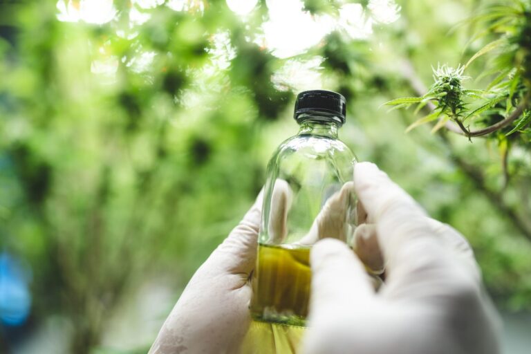 - 17 Le CBD et le système immunitaire : ce que dit la recherche