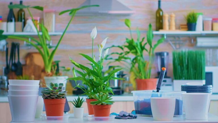 - 36 Idées pour décorer l’extérieur de votre maison à Noël