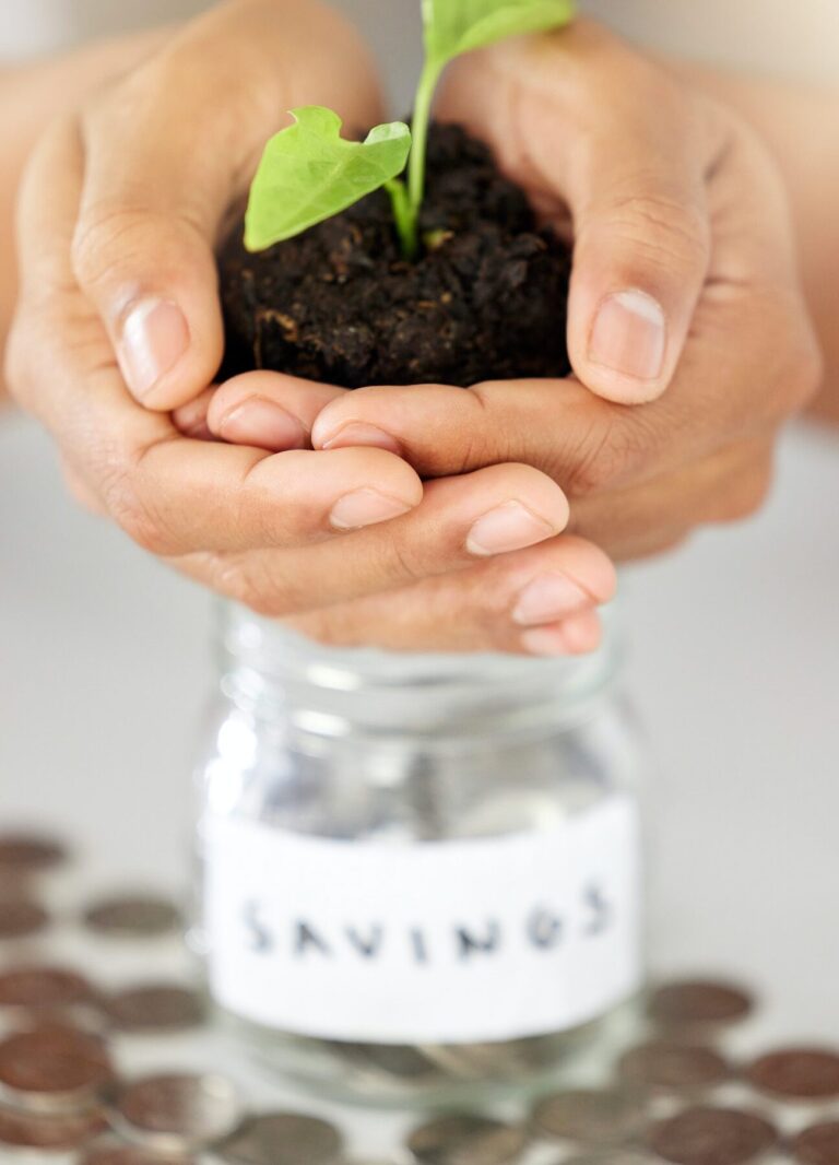 Entrepreneuriat et développement durable : peut-on concilier écologie et économie ?