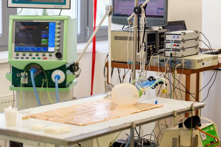 Quelles démarches effectuer avant d’emménager ?