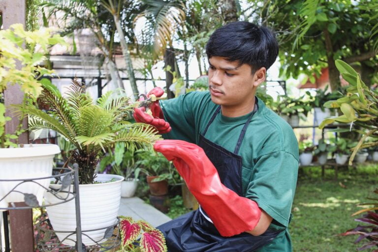 Comment entretenir son jardin : astuces pratiques