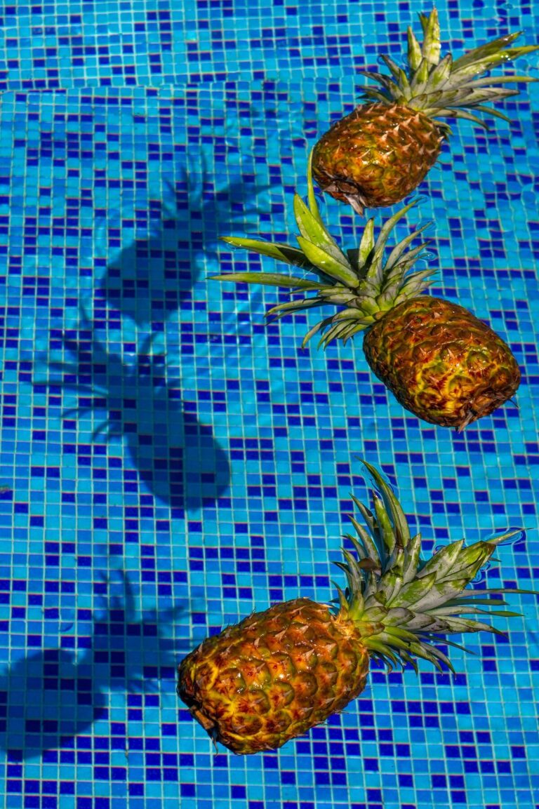 Piscine naturelle : prix, installation, problèmes