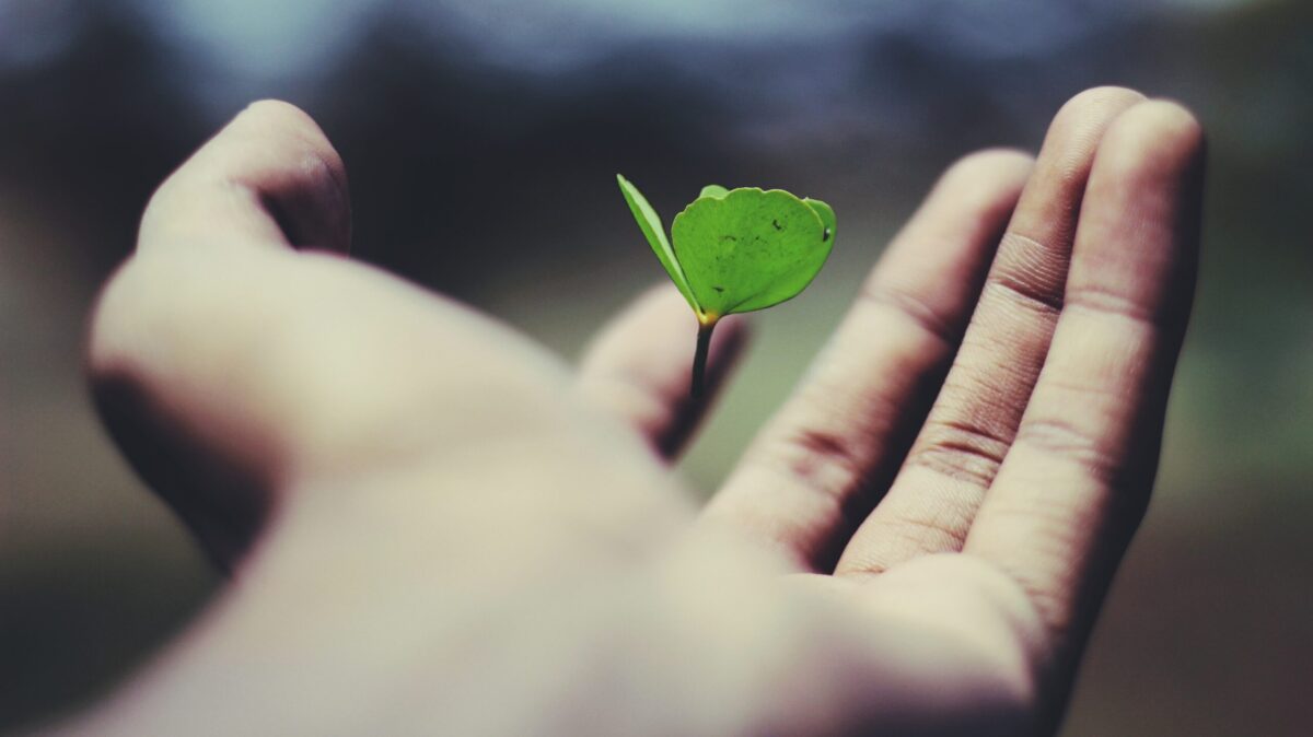 - 1 Qu'est-ce qu'une Assurance Vie ? (et pourquoi c'est bien pour votre épargne)