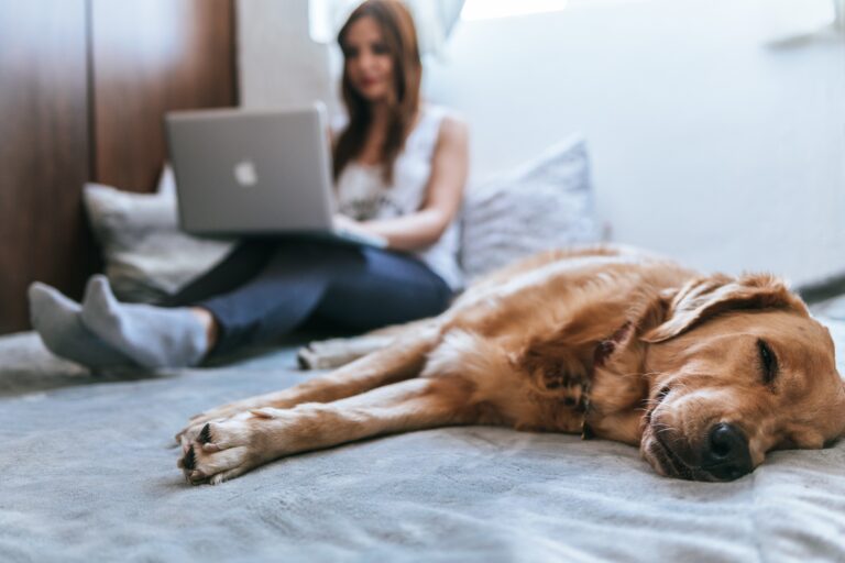 Home Trainer Wahoo – Votre Partenaire d’Entraînement