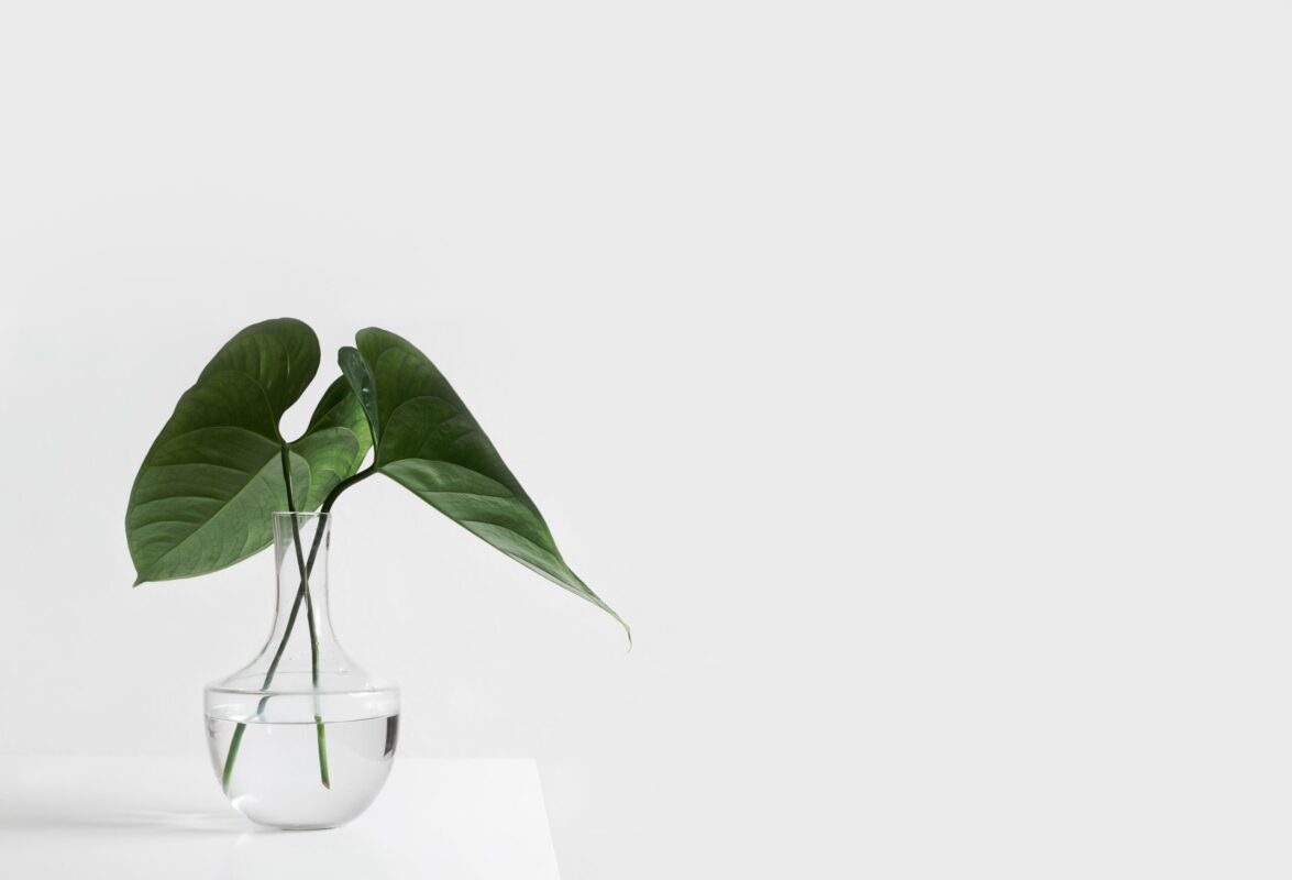Minimalisme : 7 principes pour vivre mieux avec moins