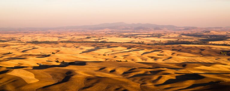 La lumière matinale frappe les fermes et les champs de Palouse, dans l'État de Washington.