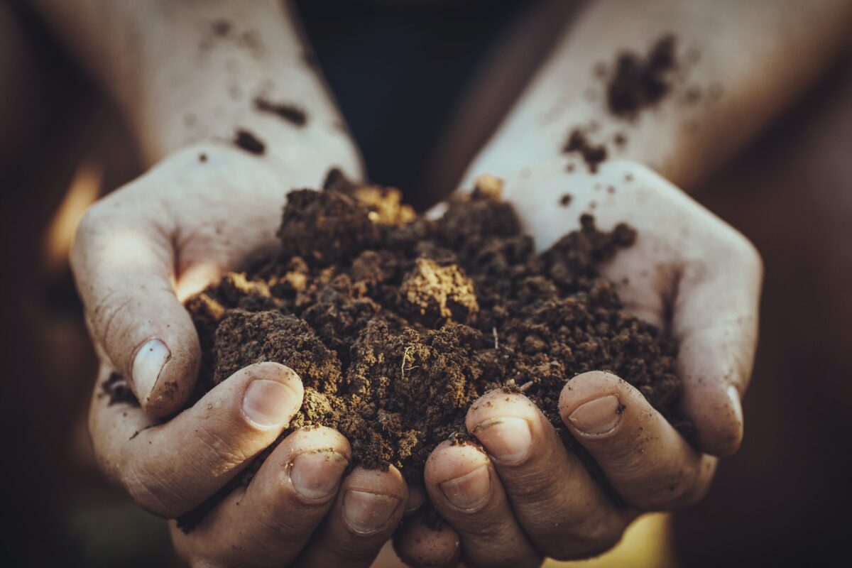 Jardinier avec terre pour planter.