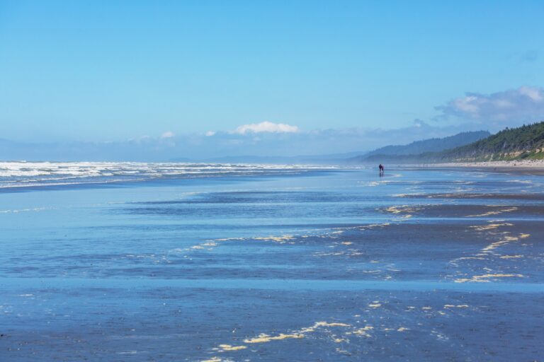 Demande touristique en Asie-Pacifique