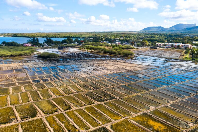 Production de sel sur l'île Maurice dans l'océan Indien.