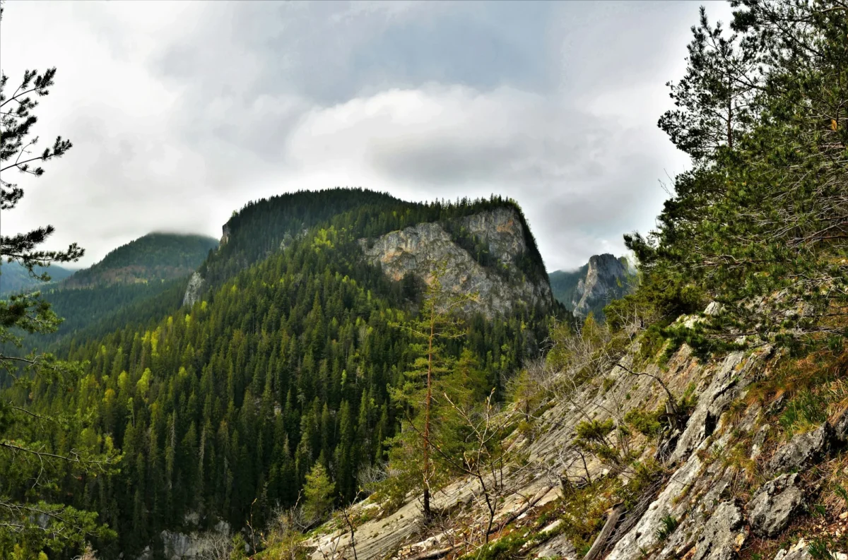 Une belle photo des montagnes du Hamas en Roumanie