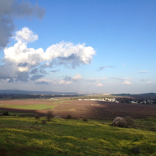 Debout à la frontière syro-israélienne. 