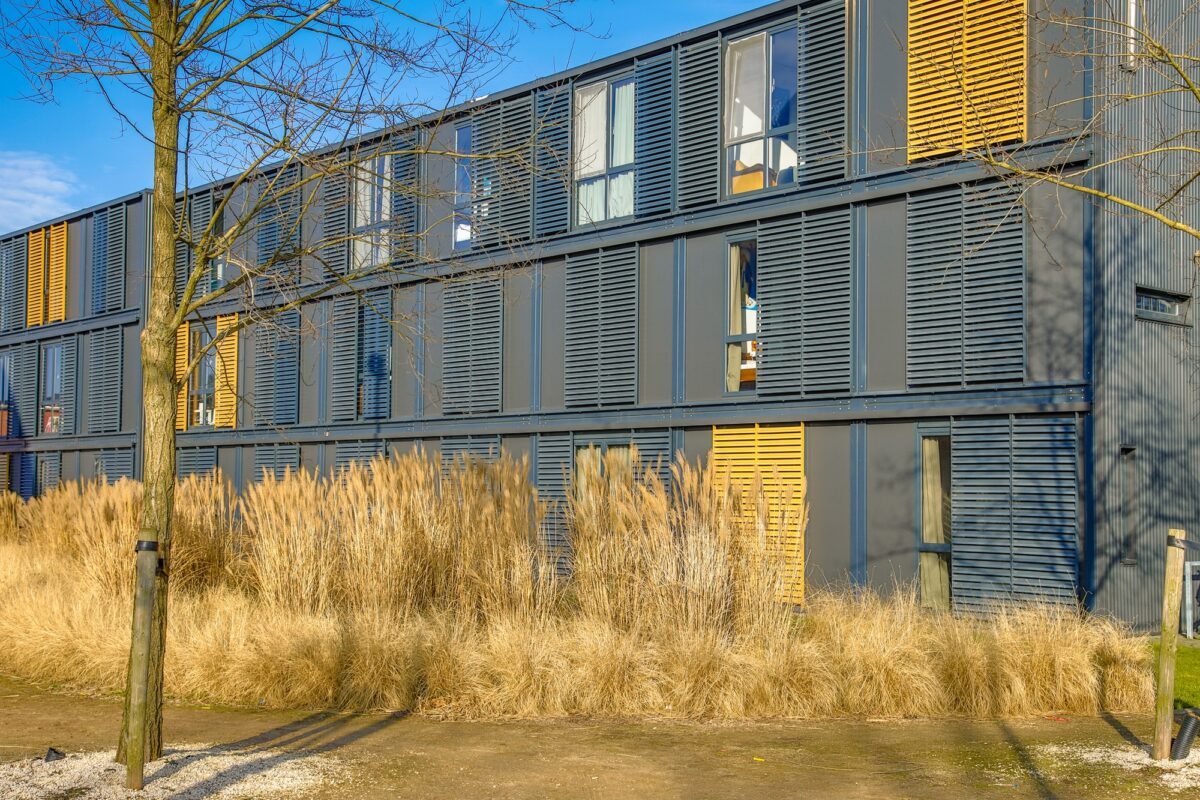 Gros plan d'appartements étudiants modernes dans des conteneurs maritimes rénovés avec jardin en touffes